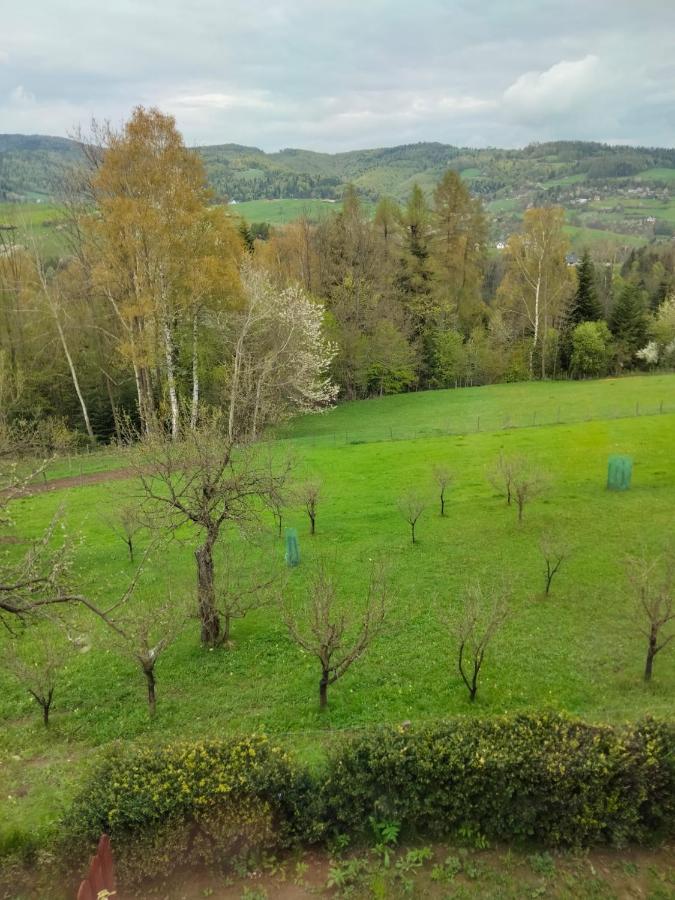 Apartament W Ogrodzie Tylka Dış mekan fotoğraf